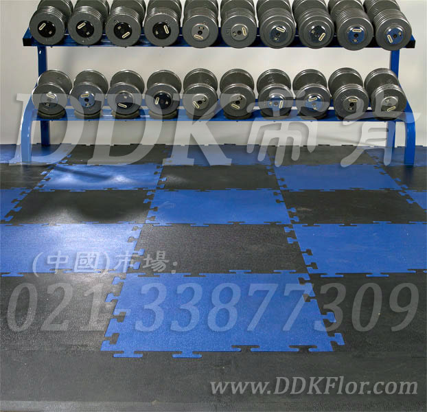 啞鈴器械區(qū)_藍(lán)色+黑色樣板圖片，帝肯(DDK)_4000（JP|勁豪）效果圖，健身房防震地墊,健身房橡膠地板,健身房地膠,健身房地毯,健身房地板膠,健身房地板,健身房地墊