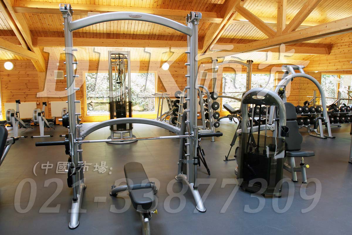 帝肯(DDK)_2000_3020（健身房器器械區(qū)地面鋪裝材料）健身房地膠,健身房橡膠地板,健身房防震地墊,運(yùn)動(dòng)地墊,運(yùn)動(dòng)地板,運(yùn)動(dòng)地膠