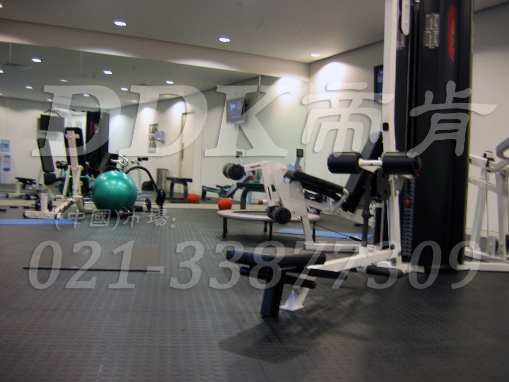 帝肯(DDK)_2000_3020（健身房器器械區(qū)地面鋪裝材料）健身房pvc塑膠地板,健身房地墊,健身房地板,健身房地板膠,健身房地毯,健身房地膠,健身房橡膠地板,健身房防震地墊,運(yùn)動(dòng)地墊,運(yùn)動(dòng)地板,運(yùn)動(dòng)地膠